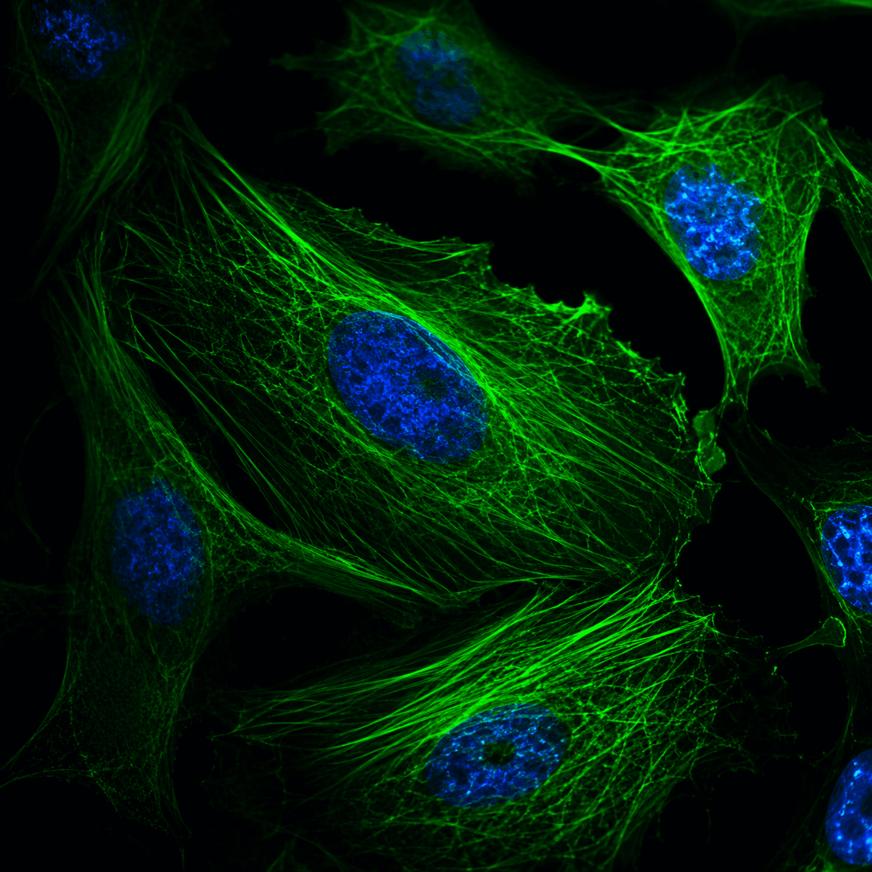 Life Sciences Research